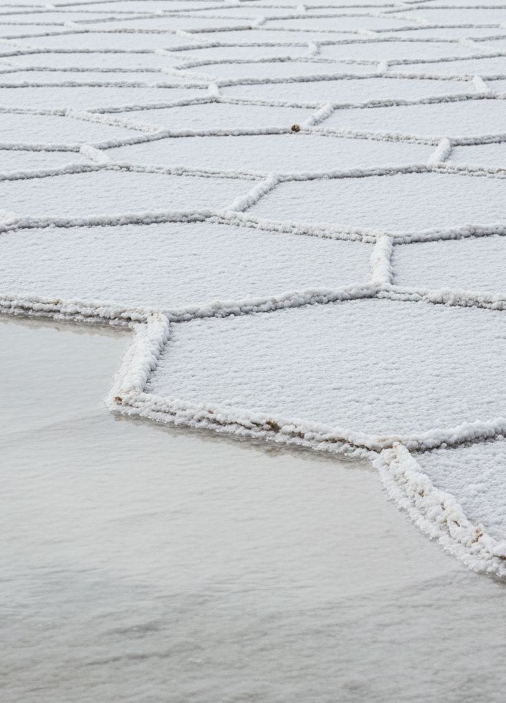 Ridged white salt polygons on a dried flat meeting a thin flooded edge
