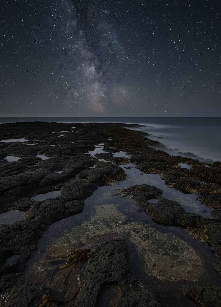 Dark rock shelf at night with still pools reflecting stars and kelp at waterline